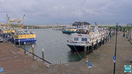 Texel en vivo Puerto de Oudeschild