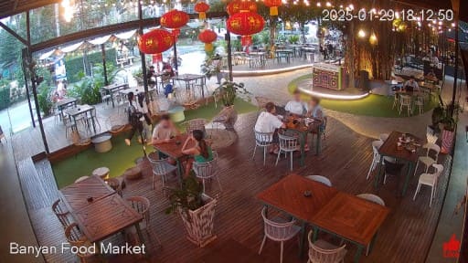 Cámara en Vivo del Banyan Food Market (Isla de Samui)